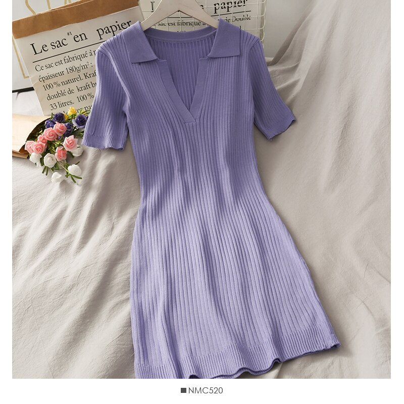 Women Purple Polo Dress