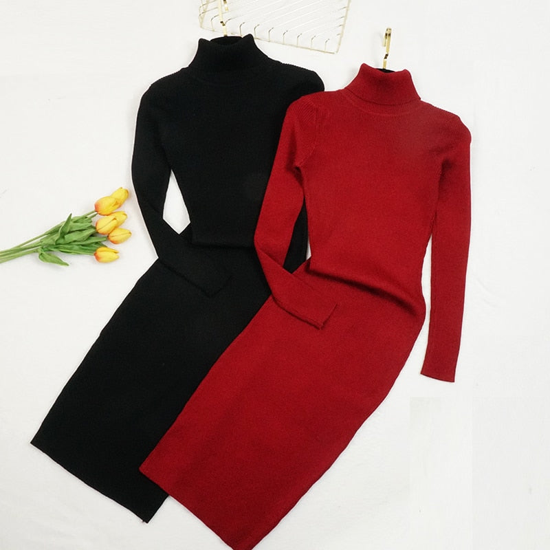 Turtle Neck Ribbed Knitted Dress