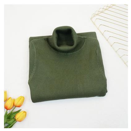 Turtle Neck Ribbed Knitted Dress Green One Size