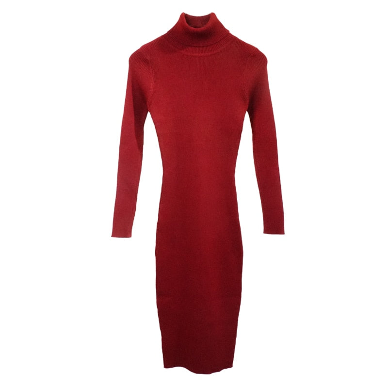 Turtle Neck Ribbed Knitted Dress