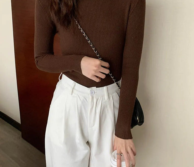 Women Autumn Winter Turtleneck Sweater