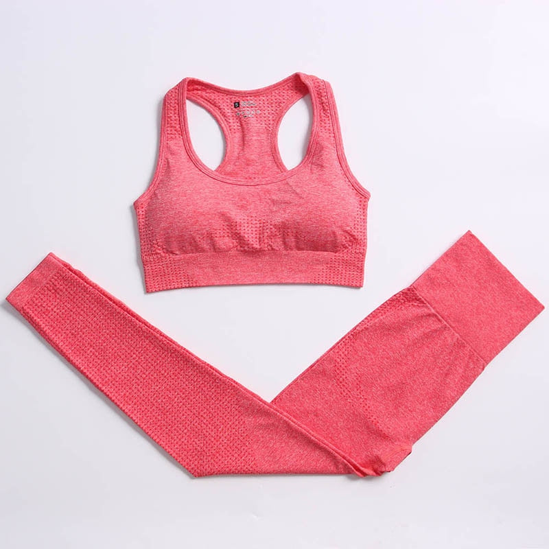 Women Workout Clothing Gym Yoga Set