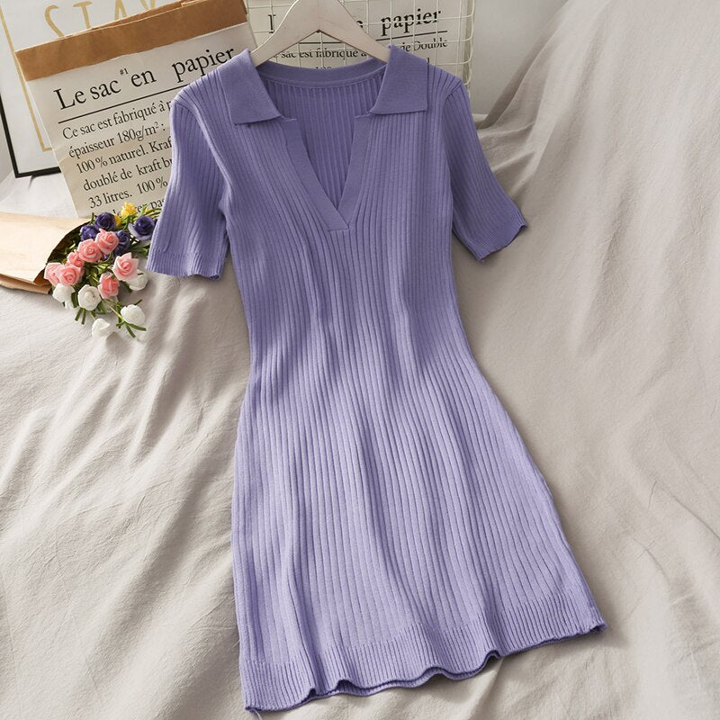Women Purple Polo Dress