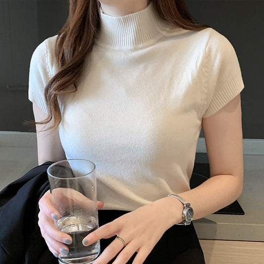 Turtleneck Knitted Blouse Shirt