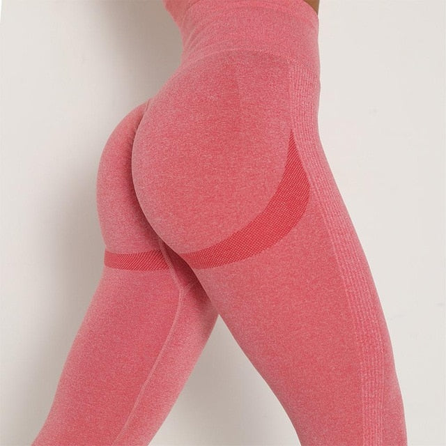 High Waist Seamless Gym Leggings