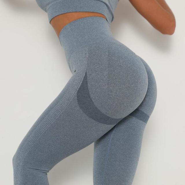 High Waist Seamless Gym Leggings