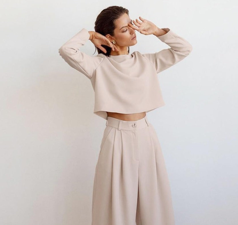 Wide leg Pleated Loose Trousers and Top set