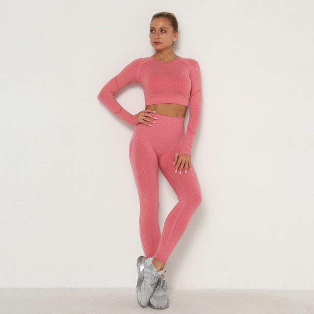 Activewear Gym Long Sleeve Top and High Waist Leggings New Set Pink