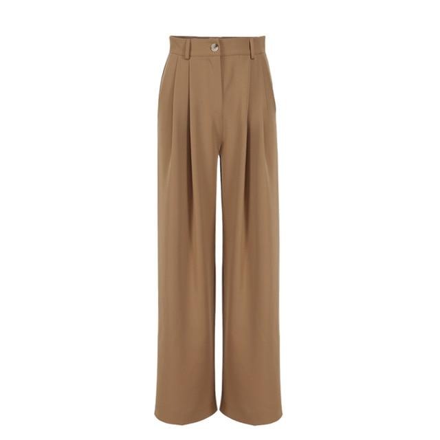 Wide leg Pleated Loose Trousers and Top set Brown Pants