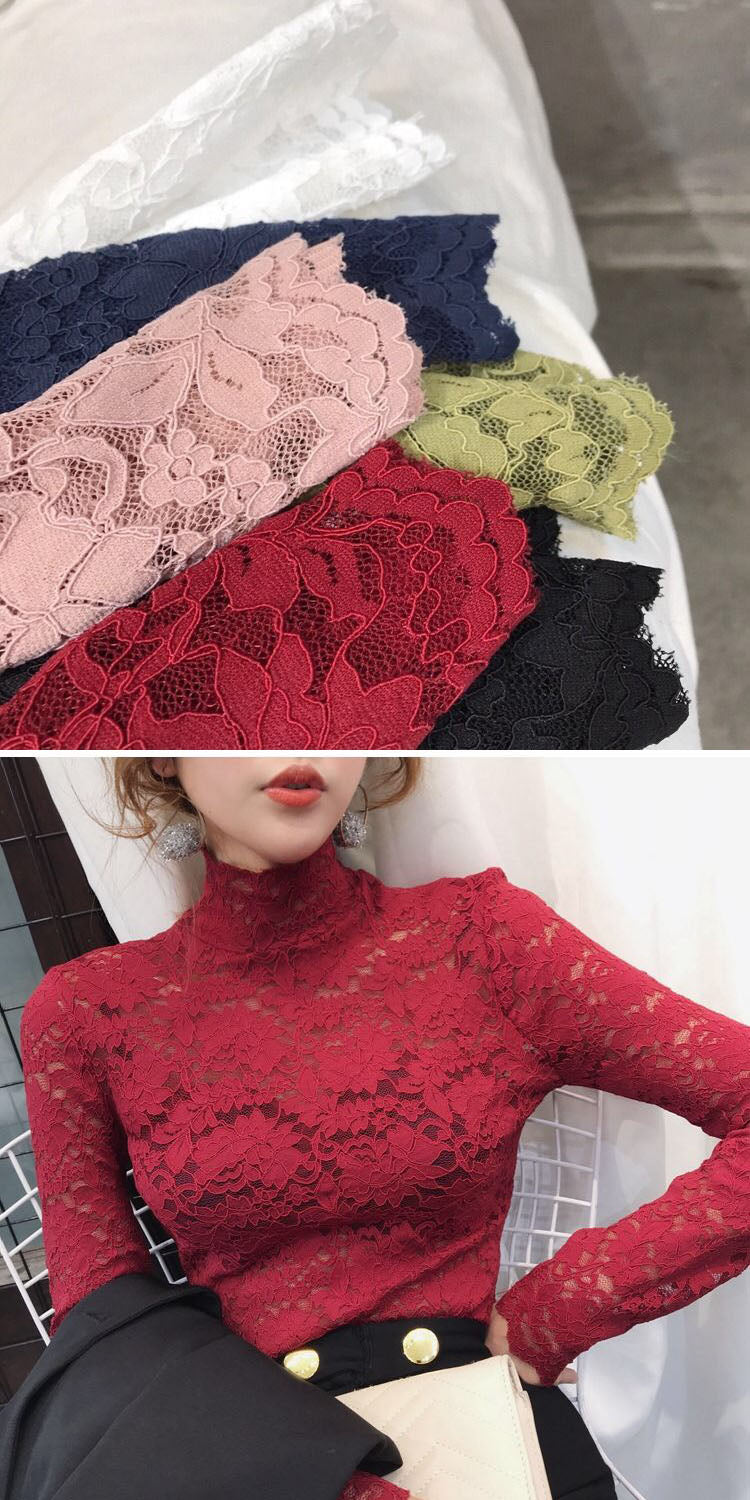 Turtleneck Long Sleeve Lace Blouse