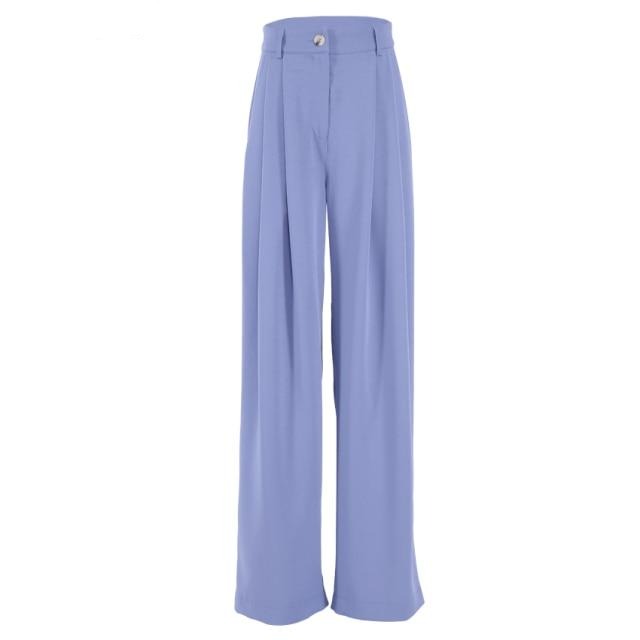 Wide leg Pleated Loose Trousers and Top set