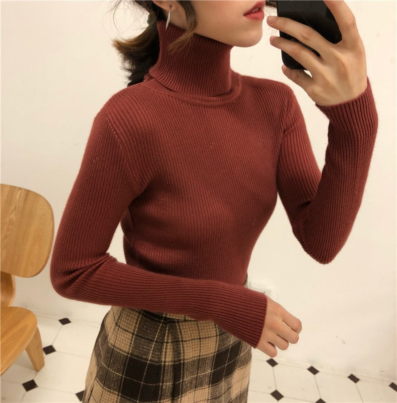 Turtleneck Pullover Ribbed Jumper